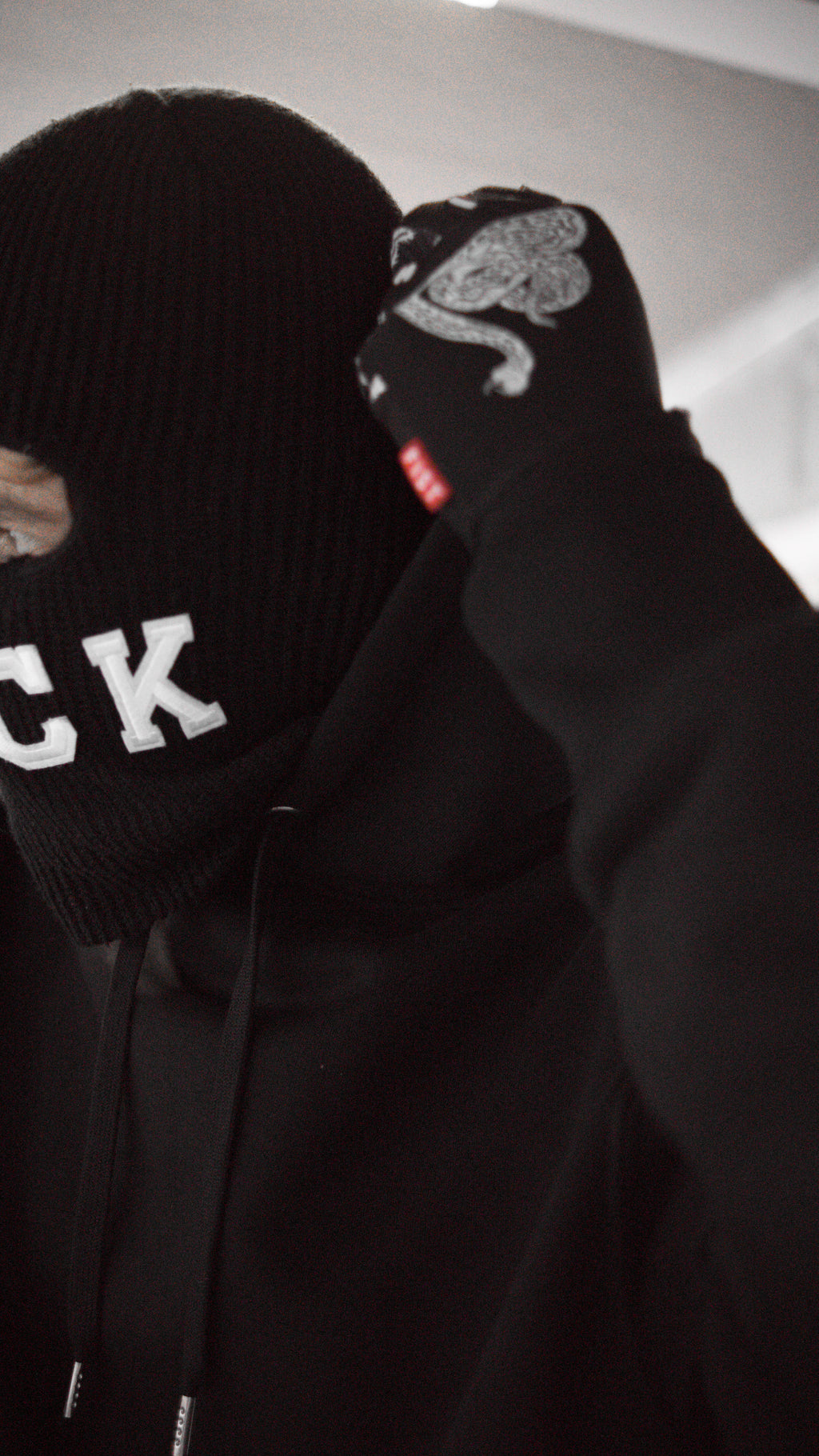 Thrill Seeker Hoodie · Rudel Original